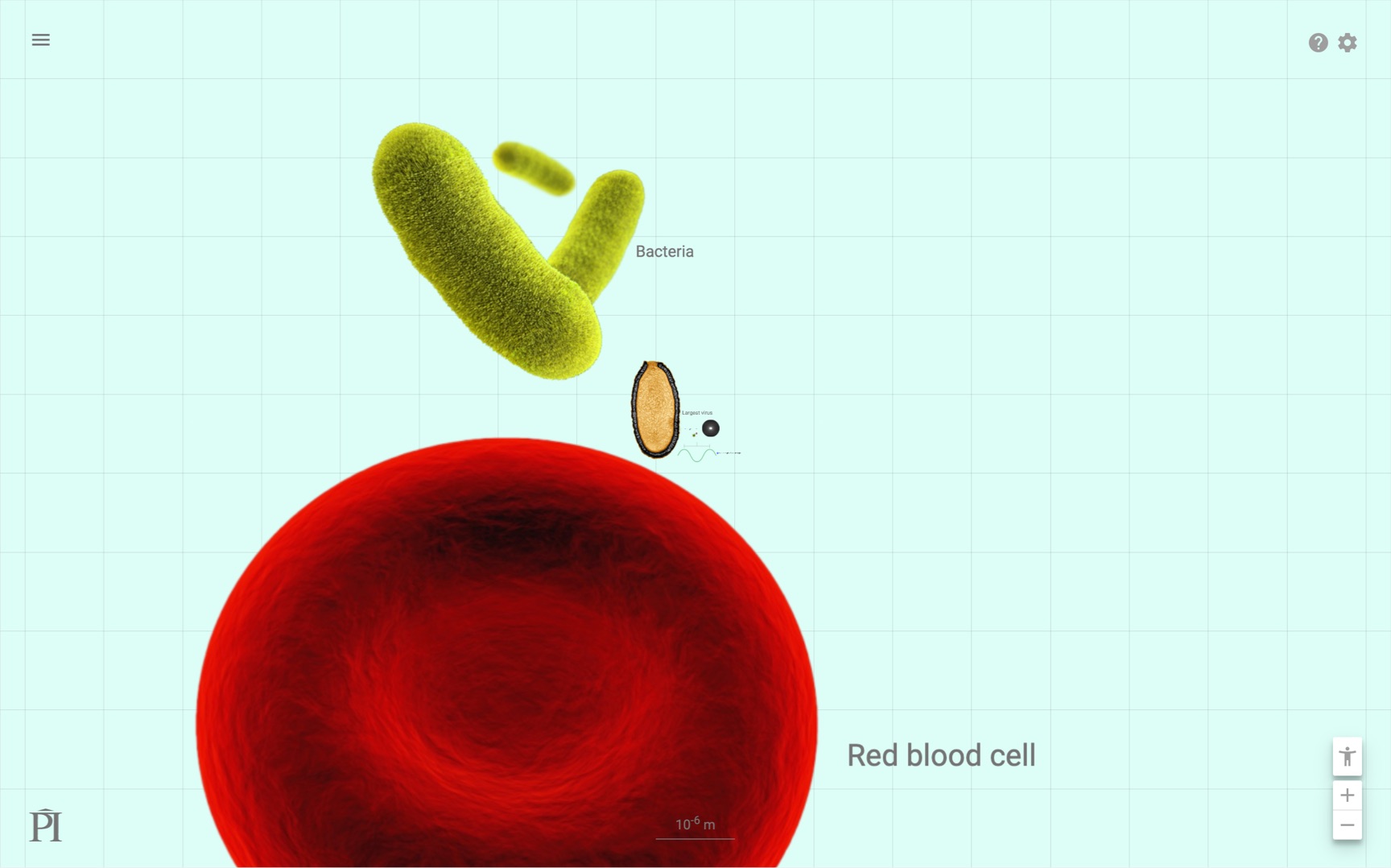 QTC-Scale-2